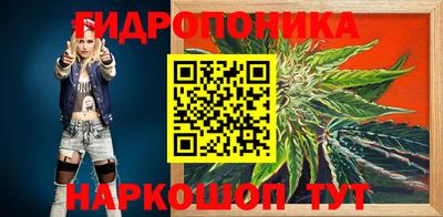 spice Гусь-Хрустальный