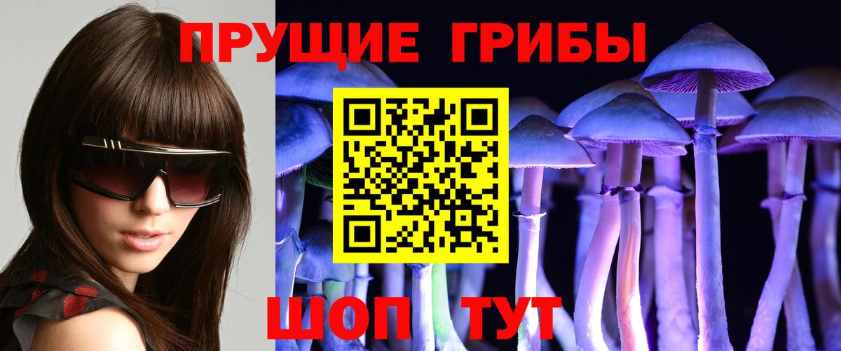 Псилоцибиновые грибы Cubensis Минеральные Воды